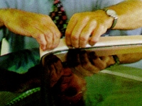 thumbs 9060 Stegoband Application Tapes